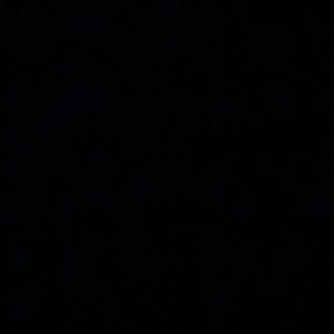 Meet your Posher, Daniela